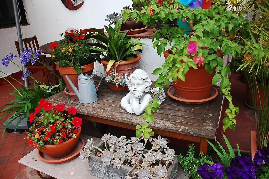 The Patio Barcelona Διαμέρισμα